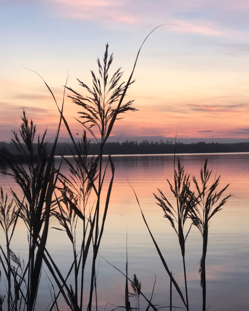 Microbreaks – small pauses that can make a big difference in burnout recovery